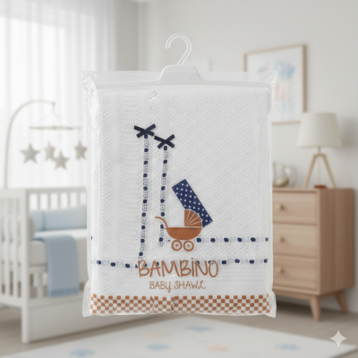 Baby Shawl